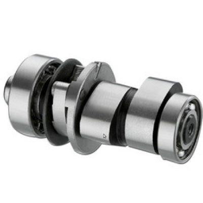 Cam Shaft Genuine for Bajaj Discover 100 New-Bajaj