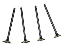 Valve Set Genuine for Bajaj Pulsar 135 LS-Bajaj
