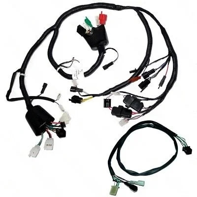 Wiring Harness for Electra-MINDA