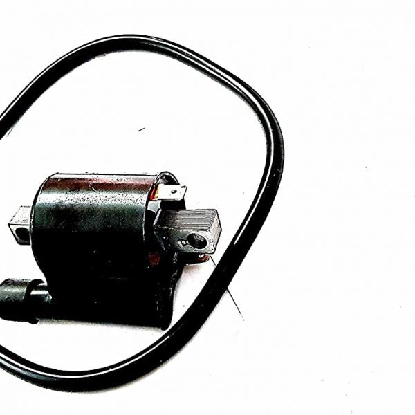 Power Coil for TVS Victor GL-First Quality