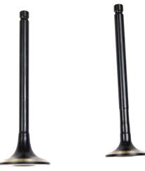 Valve Set Genuine for Honda Twister-Honda
