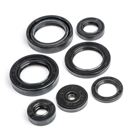 Oil Seal Kit for Hero Achiever-First Quality