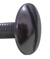 Visor Screw for Hero CBZ Old-First Quality