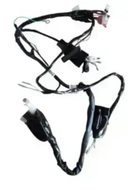 Wiring Harness for Hero CD Deluxe 100 (2010 Model)-HERO