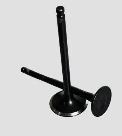 Valve Set for Ray-ABK