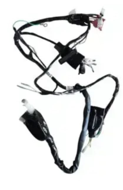 Wiring Harness for Bajaj Avenger 220-BAJAJ