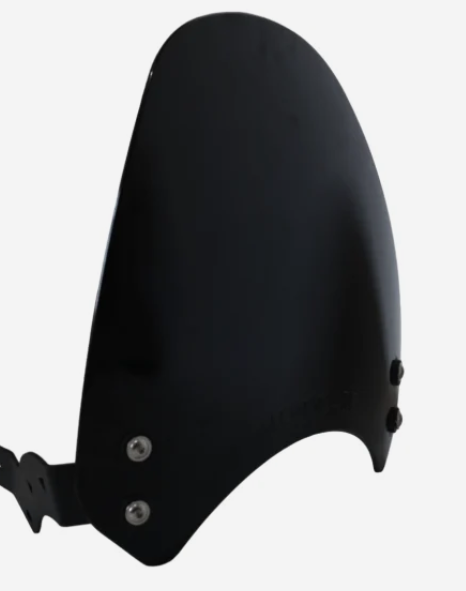 Visor for TVS Ronin -TVS