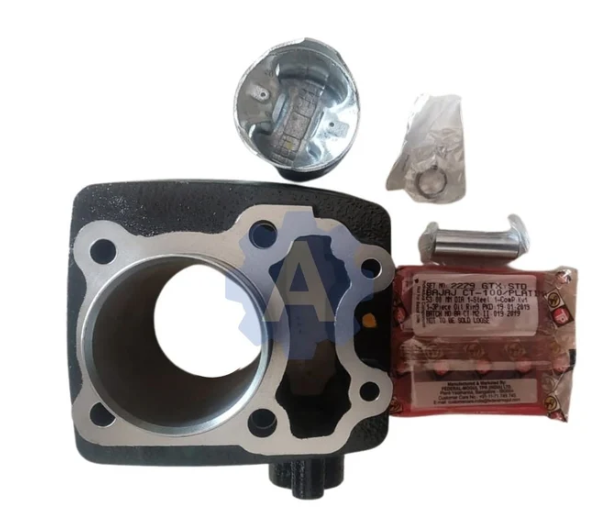 Piston Cylinder Kit for Bajaj CT - GOETZE