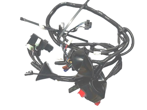 Harness Main Cable for ROYAL ENFIELD CLASSIC 350-Royal Enfield