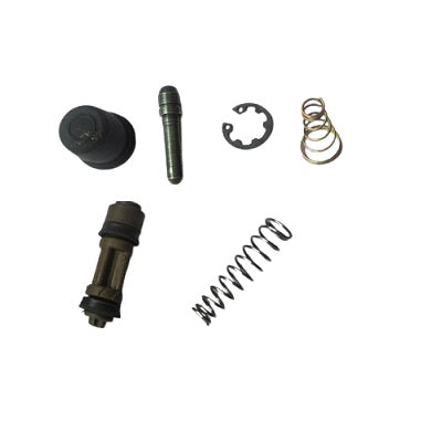 Disc Master Kit for Bajaj Discover 125 New-AAA