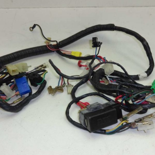 Wiring Kit for Bajaj Platina Old-Swiss