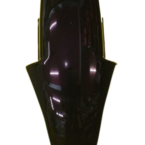 Mudguard Black for Bajaj Pulsar 150 Old-SAI