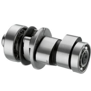 Cam Shaft Genuine