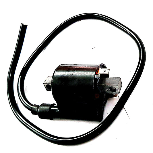 Ignition Coil for HERO CD 100/CD 100 SS-ABK