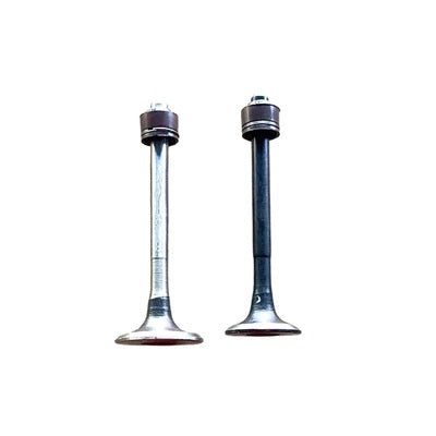 Engine Valve Set