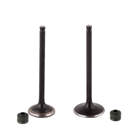Valve kit for HERO MAESTRO EDGE-HERO