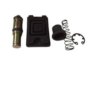 Disc Master Kit for TVS Apache RTR 160 4V-Genuine