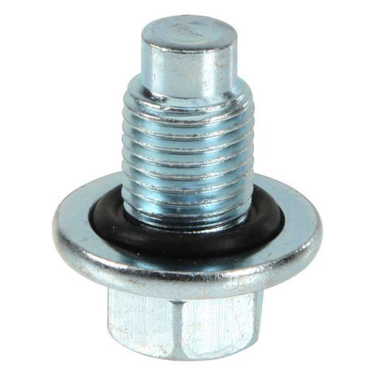 Oil Bolt 17 No for TVS Apache RTR 180 OLD-SENIOR