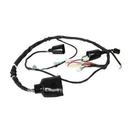 Wiring harness for HERO PASSION PRO-HERO