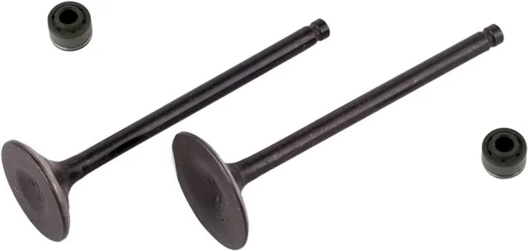 Valve  kit for HERO PASSION PRO-HERO