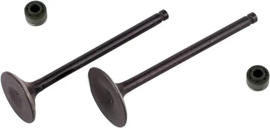 Valve  kit for HERO PASSION PRO-HERO