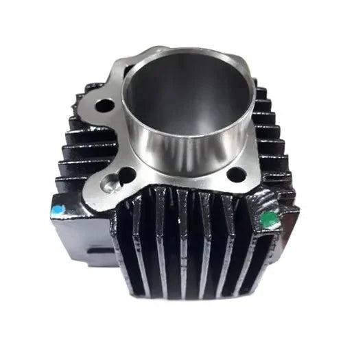 Cylinder assembly for HERO PASSION PRO-HERO