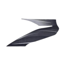 Stripe left front visor for HERO PASSION PRO-HERO