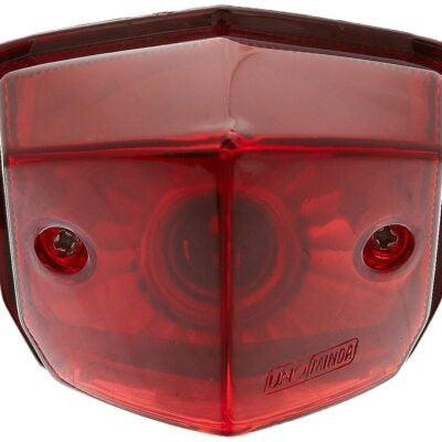 Taillamp set for YAMAHA  FZ V2-MINDA