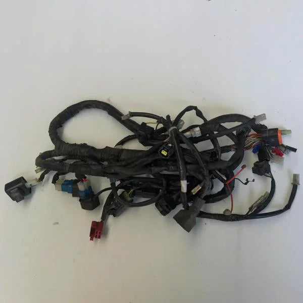 Wiring harness for YAMAHA  R15 V1-MINDA