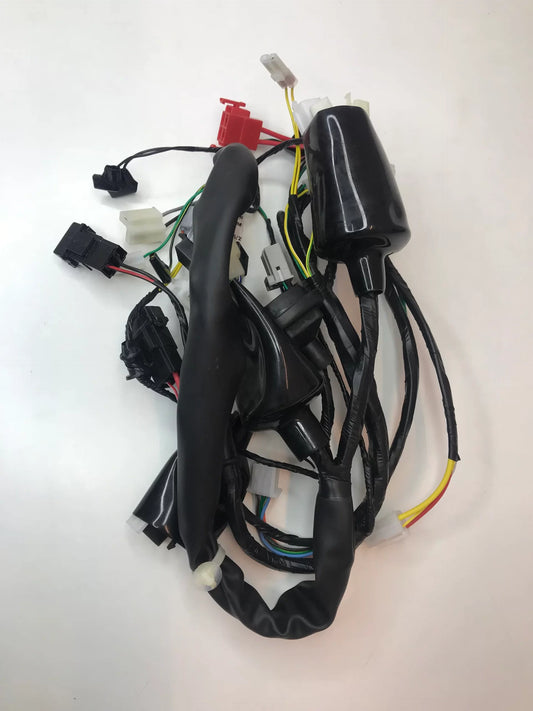 Wiring harness for SUZUKI HAYATE-MINDA