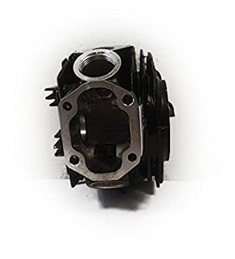 Head Genuine for Hero Passion Plus New-Hero