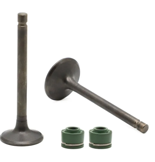 Valve Set for Lml Freedom-ABK