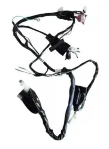 Wiring Harness for Bajaj Avenger 200-BAJAJ