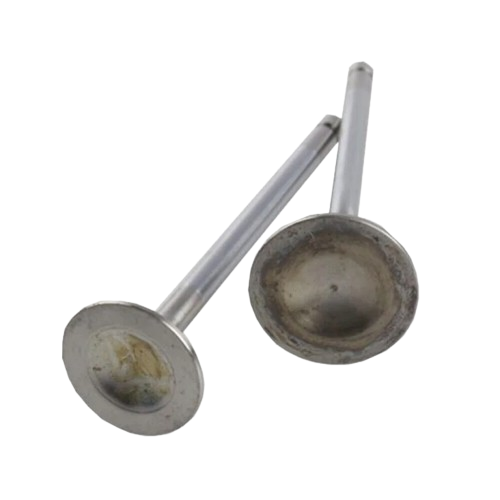 Valve Kit for ROYAL ENFIELD CLASSIC 350-Royal Enfield