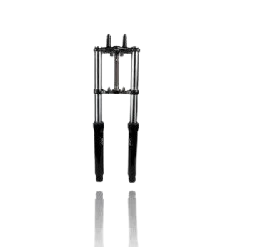 Front Fork Assembly-set of 2 (2020-23) for BAJAJ PULSAR NS 200-bajaj