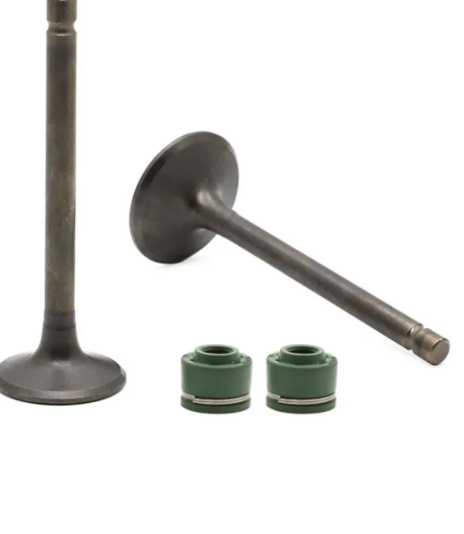 Valve Set for suzuki Access heat-GENUINE