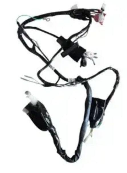 Wiring Harness for Bajaj Avenger 200 ( Electric Start 2004 Model)-BAJAJ