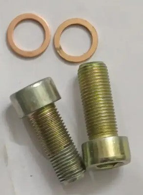 Front Fork Alanky Bolt With Washer for Rx 135-ABK