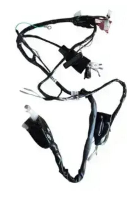 Wiring Harness for Hero CD Deluxe 100  (2012 to 2013 Model)-HERO