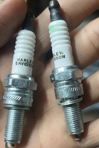 Spark Plug for Harley Davidson Street 750-ABK