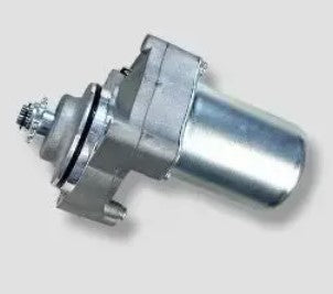 Starter Motor Assy for Passion Pro -HERO