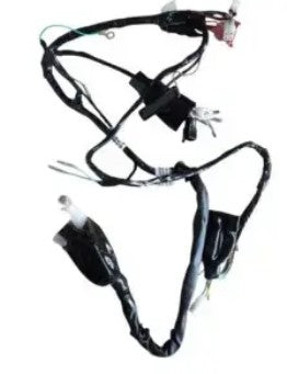 Wiring Harness  for Passion PRO (Electric Start 2015 to 2016 Model)-HERO