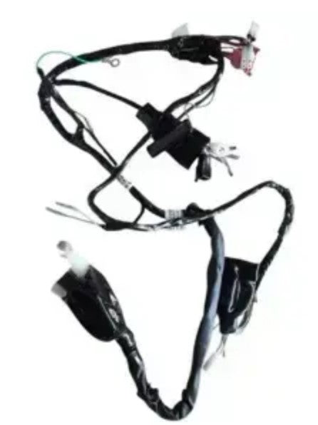 Wiring Harness for Honda Activa 125 (BS4 ) Electric Start 2017 Digital Meter Model-hHONDA