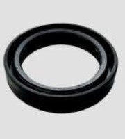 ForK Oil Seal for Hornet ( NAQ0908)-ABK