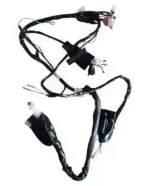 Wiring Harness for Honda CB Twister Electric Start (2010 Model)-HONDA