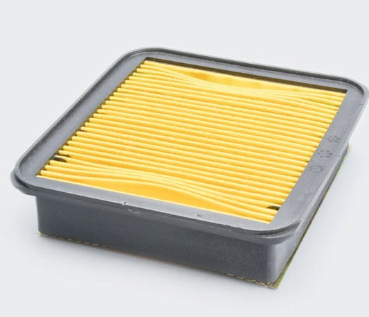 Air Filter (Paper) for Rtr 200-ABK
