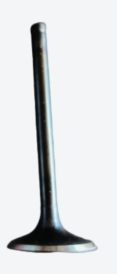 Valve for Himalayan 411-ROYAL ENFIELD