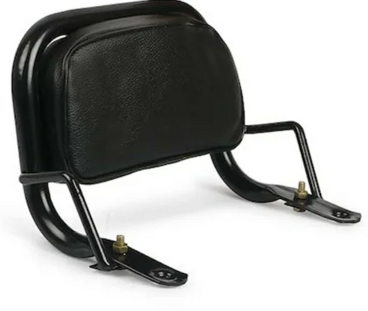 Backrest With Cushion for Ola s1 Pro -ABK