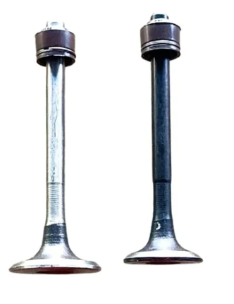 Valve Set for Bajaj KB4S  (2 Valves with seal)-OES