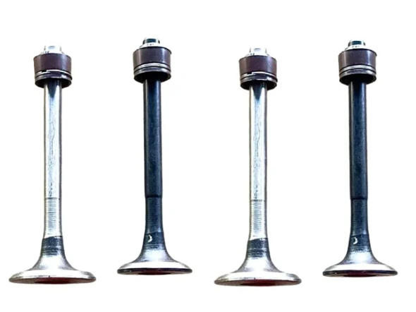 Engine Valve Set for Bajaj Discover 100T ( 4 Valves with Seal)-OES